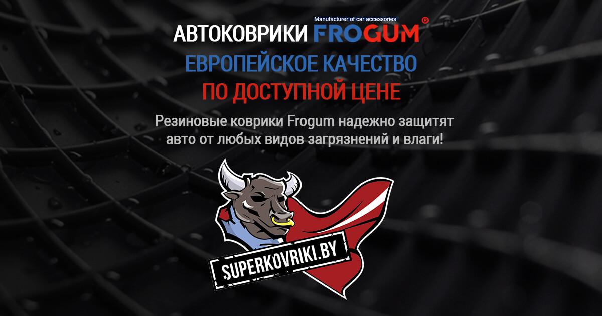 Купить автомобильные коврики в салон. Магазин автоковриков в Минске